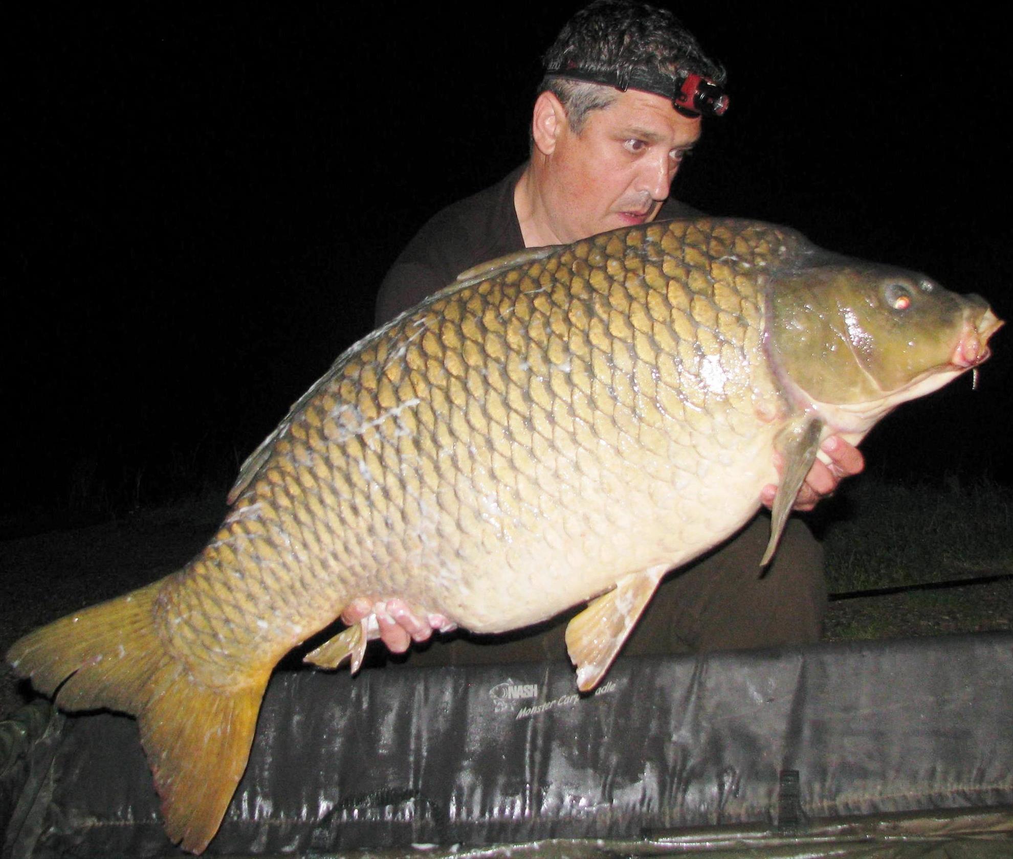 Pelagicevo Jezero  mai 2015